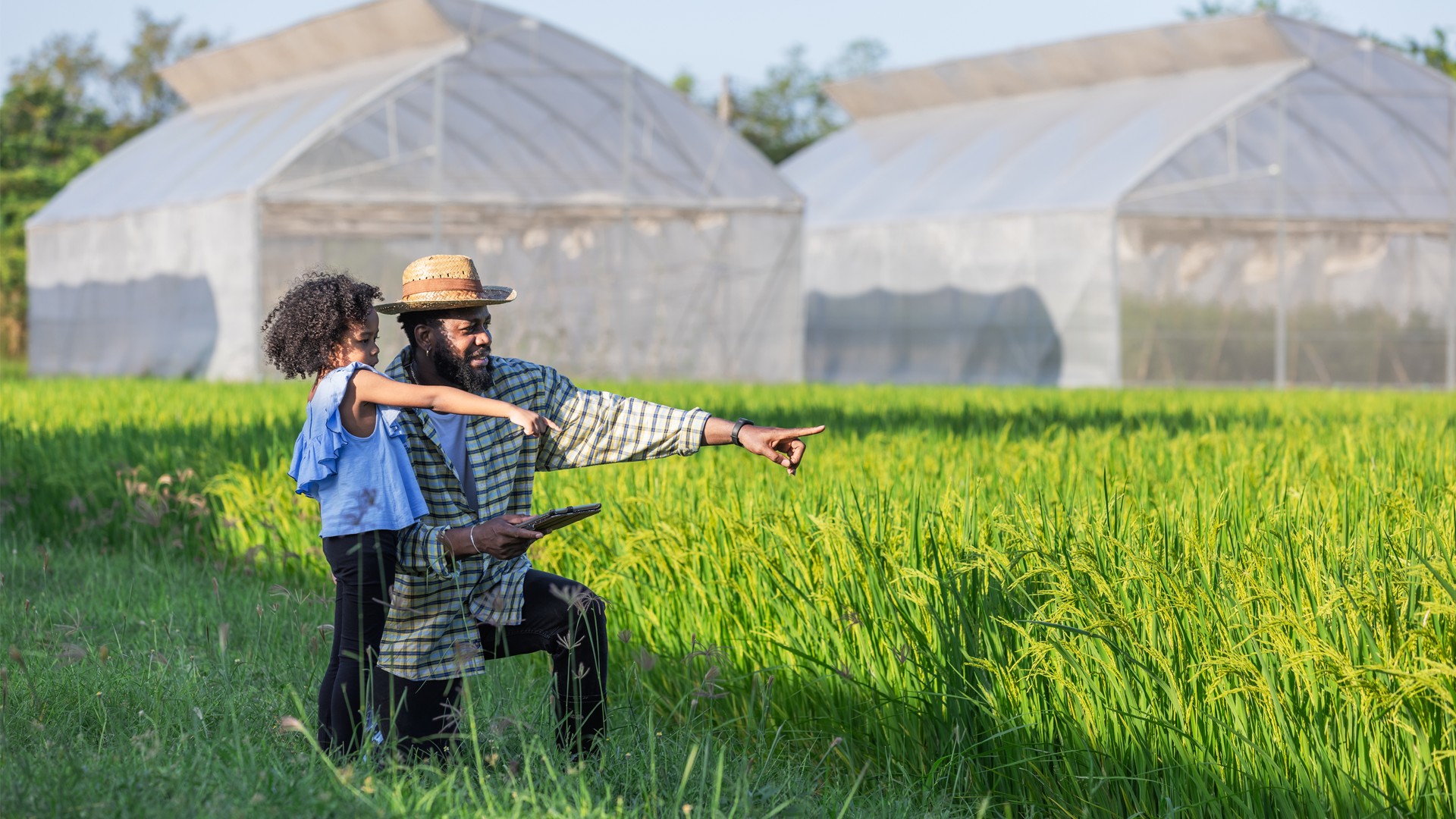 Agriculture